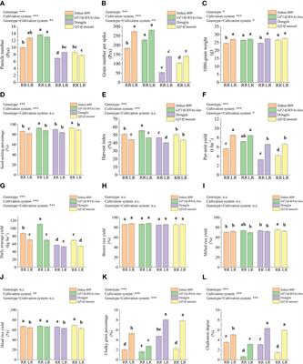 GF14f gene is negatively associated with yield and grain chalkiness under rice ratooning